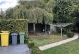 image00006.jpeg
