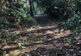 image00002.jpeg