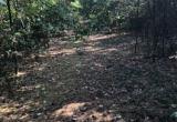 image00007.jpeg